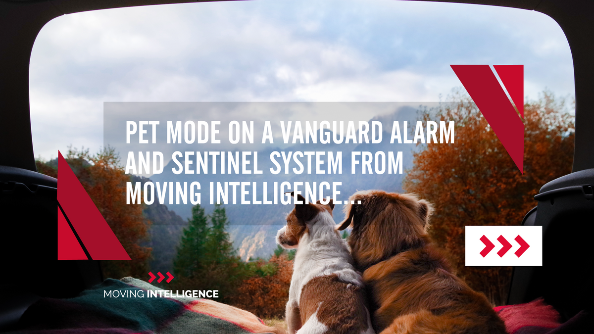 PET MODE on a Vanguard Alarm and Sentinel System, from Moving Intelligence