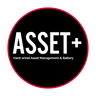 Asset Plus tracking device logo
